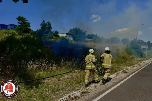 Pożar obornika w Dębówku Starym i trawy pod Białośliwiem – interwencje strażaków