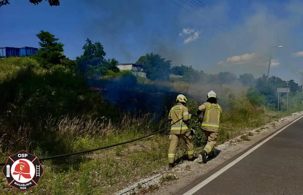 Pożar obornika w Dębówku Starym i trawy pod Białośliwiem – interwencje strażaków