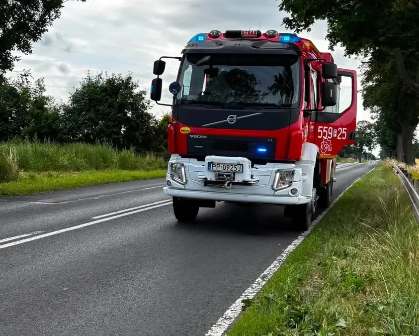 OSP Wyrzysk usuwało zagrożenie na drodze wojewódzkiej nr 242