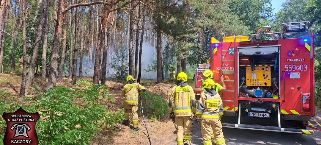Pożar poszycia leśnego w okolicy Morzewa i Rzadkowa