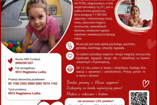 IV Święto Miasta w Miasteczku Krajeńskim – zbiórka dla Madzi