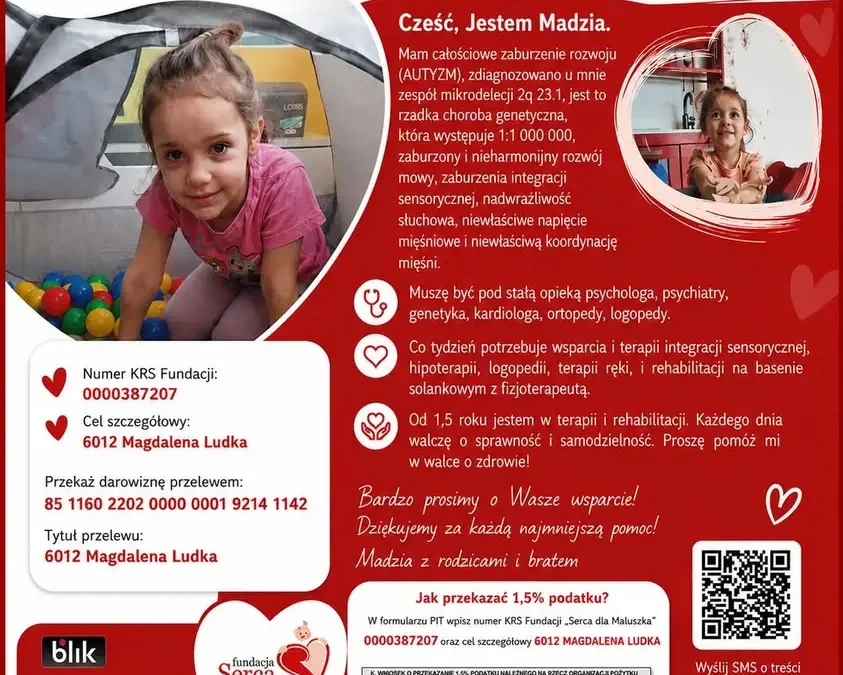 IV Święto Miasta w Miasteczku Krajeńskim – zbiórka dla Madzi