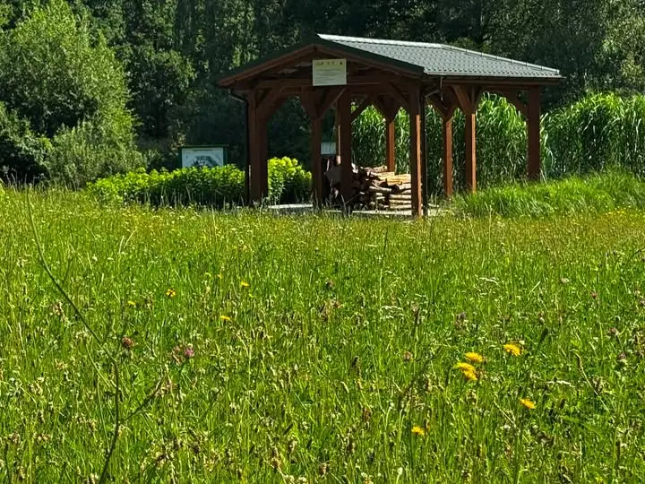Sobotnie spotkanie z motylami na kwitnącej łące w Chlebnie