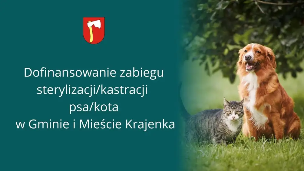 Dofinansowanie sterylizacji i kastracji psów i kotów w Gminie Krajenka