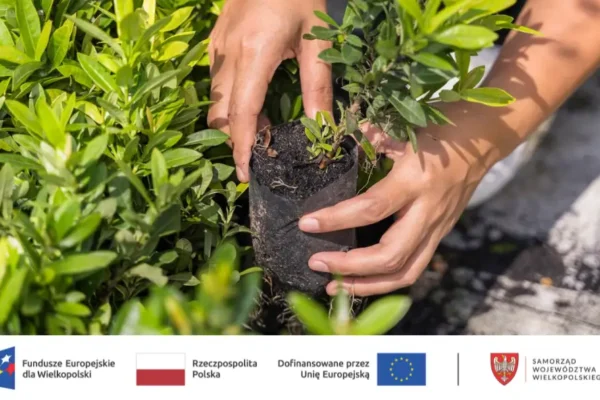 Zakończono przebudowę zieleni na Bulwarach Europejskich i w innych lokalizacjach w Pile