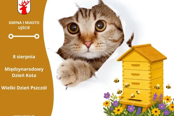 8 sierpnia: Międzynarodowy Dzień Kota i Wielki Dzień Pszczół – święto dwóch ważnych bohaterów
