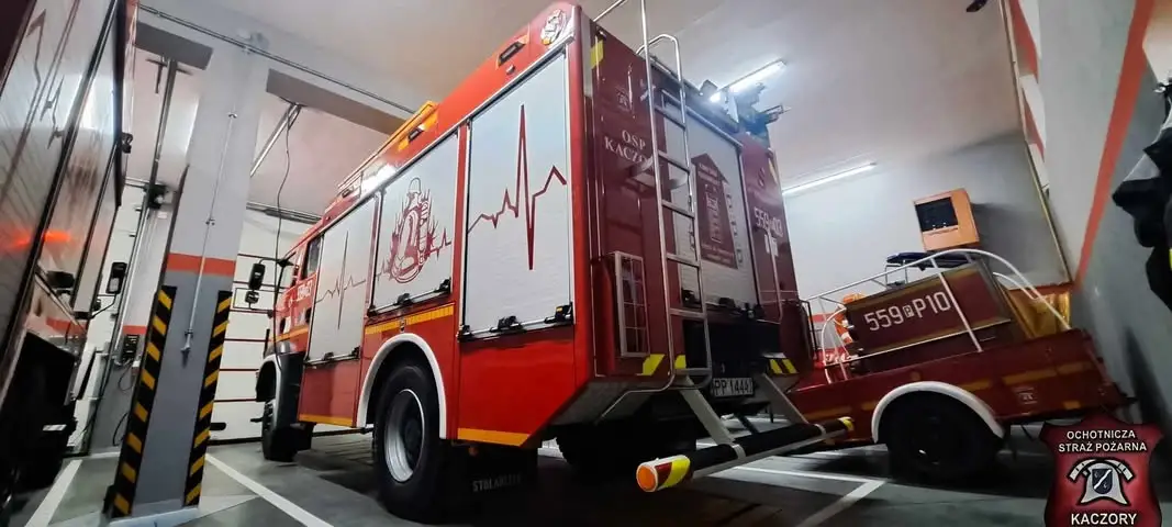 Interwencja strażaków w Jeziorkach: usuwanie gniazda owadów błonkoskrzydłych