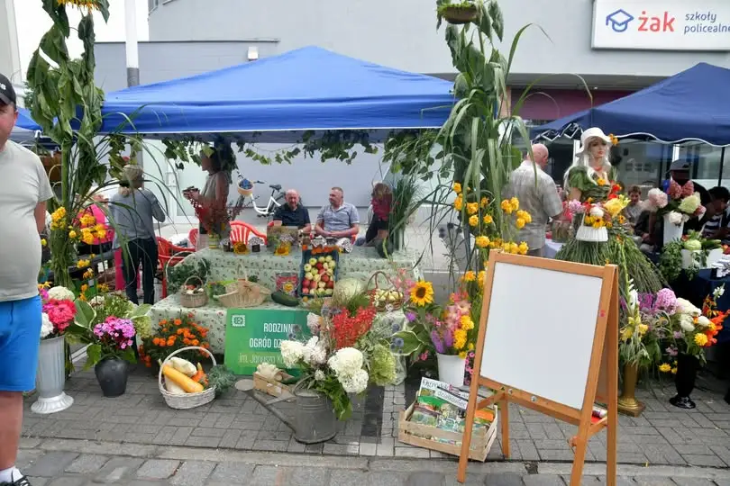 KORSO w Pile: Święto działkowców na Placu Konstytucji 3 Maja