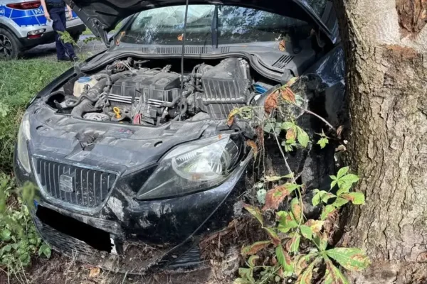 Wypadek w Bielawach Nowych: auto uderzyło w drzewo, jedna osoba w szpitalu