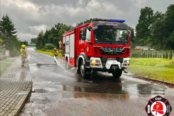 Interwencje OSP Białośliwie: usunięcie gniazda owadów i neutralizacja plamy ropopochodnej