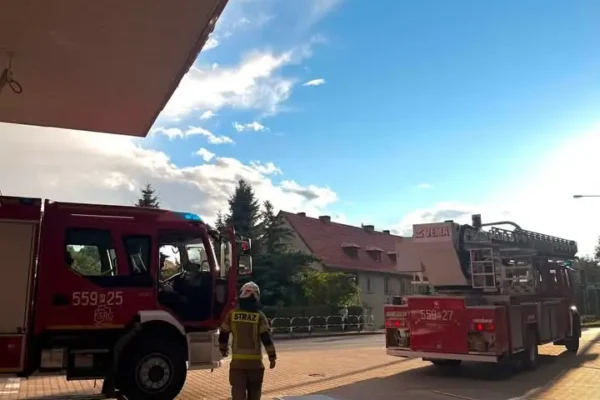 Interwencje OSP Wyrzysk: usuwanie zwisającego konaru i gniazda owadów