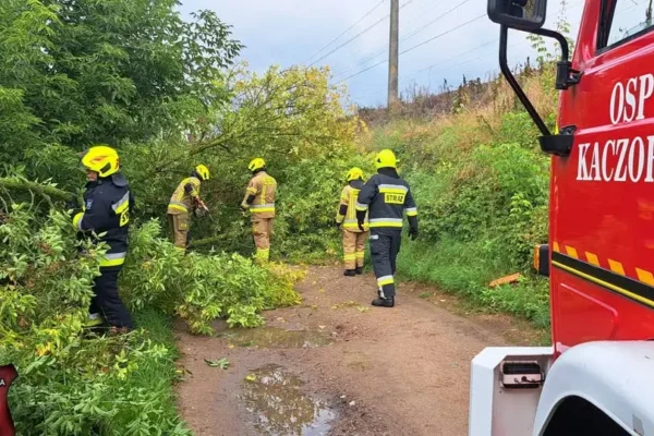 Strażacy z OSP Ujście i Kaczory usuwali skutki wichury