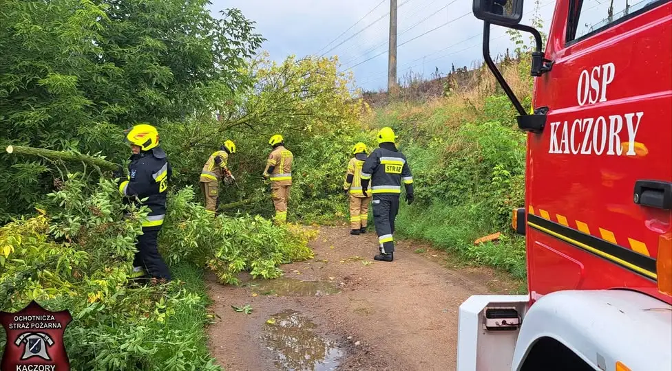 Strażacy z OSP Ujście i Kaczory usuwali skutki wichury