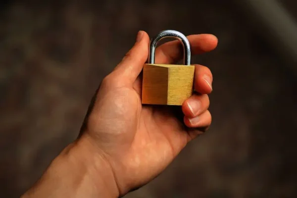 Jak zabezpieczyć dom przed włamaniem? Trwa europejska kampania edukacyjna