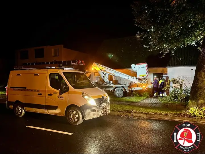 Interwencje OSP Białośliwie: złamany konar i zerwana linia energetyczna