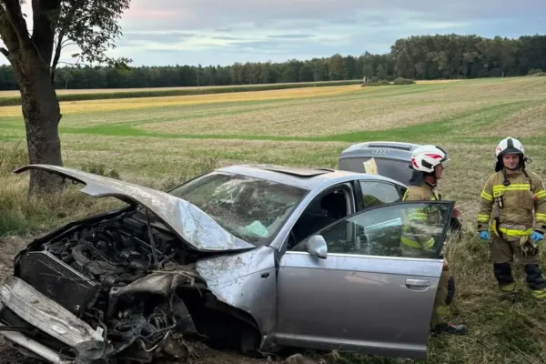 Wyrzysk: dwa wyjazdy strażaków OSP na początku września