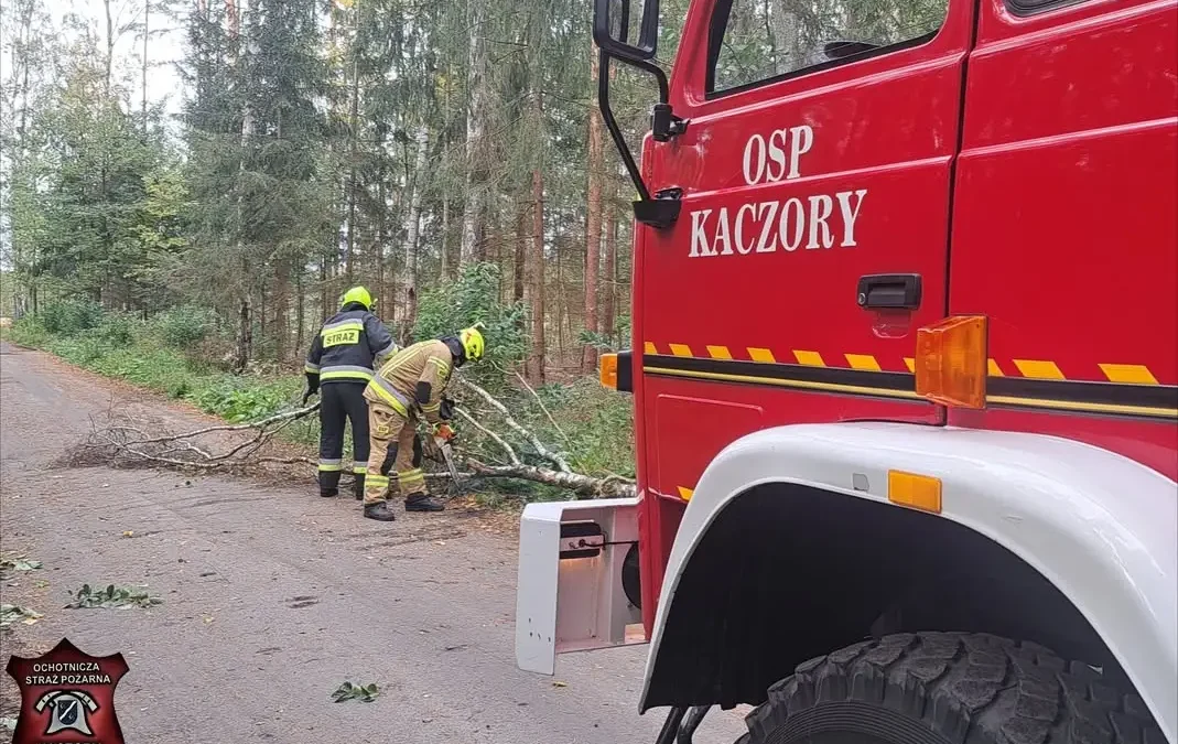Powalone drzewo w Śmiłowie — interwencja strażaków z OSP Kaczory