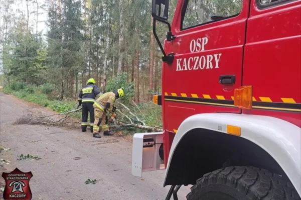 Powalone drzewo w Śmiłowie — interwencja strażaków z OSP Kaczory