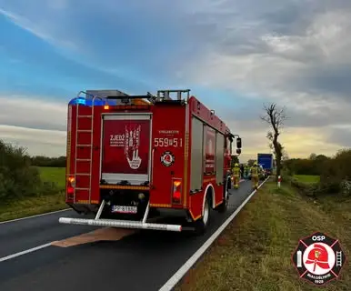 Trzy interwencje strażaków z OSP Białośliwie: plamy oleju i gniazdo owadów